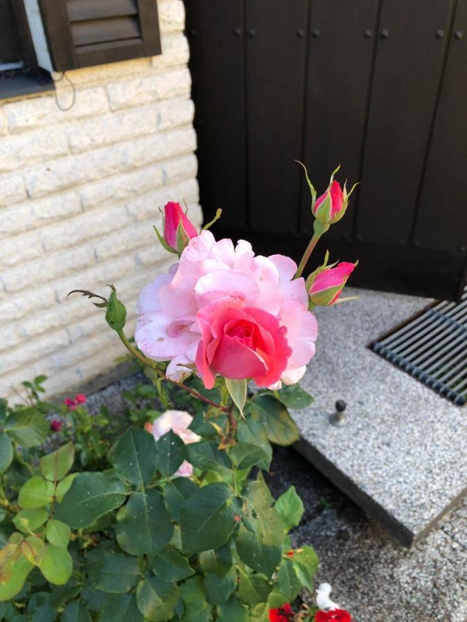 Anitas B&B Stockholm/Vaellingby Exterior foto
